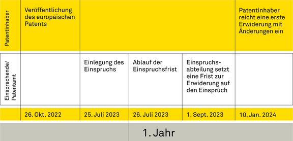 EP_Einspruch_Grafik_1_Jahr1_2022.png 