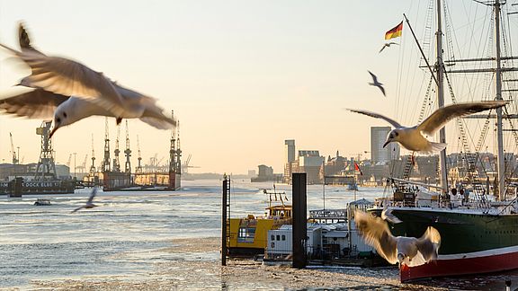 Hamburg_AdobeStock_62505812.jpg