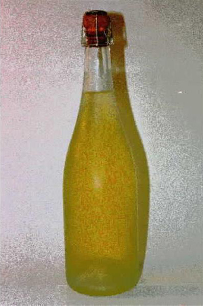 Freixenet_helle_Flasche.jpg