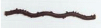 schokostick.png 
