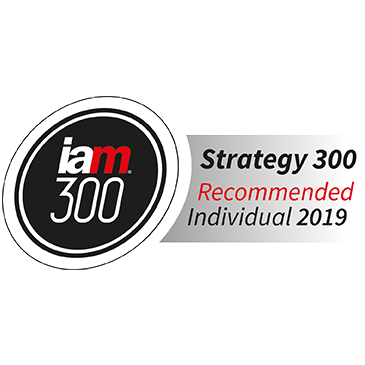 IAM-Strategy-300_recommended-individual_2019_Peter-Chrocziel_BARDEHLE-PAGENBERG.png